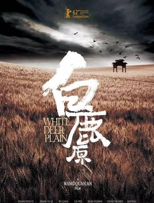 海梅一世大学会计文凭证书